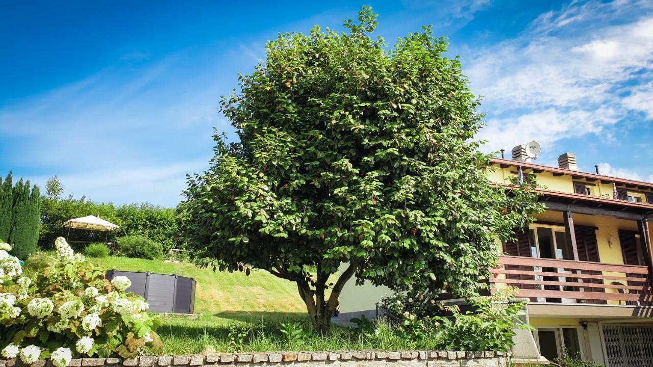 Gardenpark Soleil Villa Nebbiuno Kültér fotó